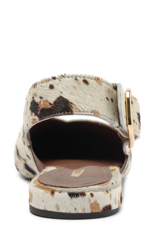 Arezzo Fallon Pointed Toe Slingback Flat