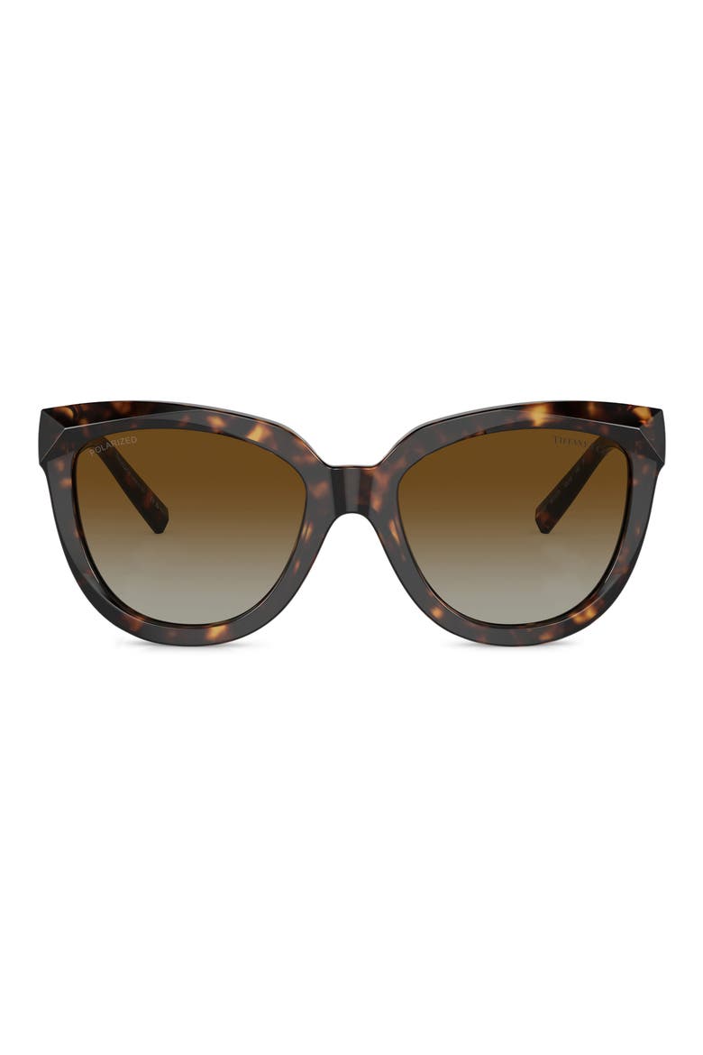 53mm Gradient Polarized Cat Eye Sunglasses, Main, color, HAVANA