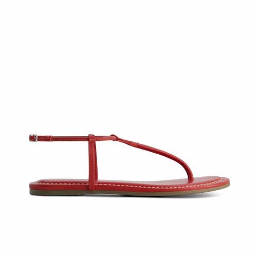 BERNARDO FOOTWEAR BERNARDO FOOTWEAR HERCU T-STRAP SANDAL 