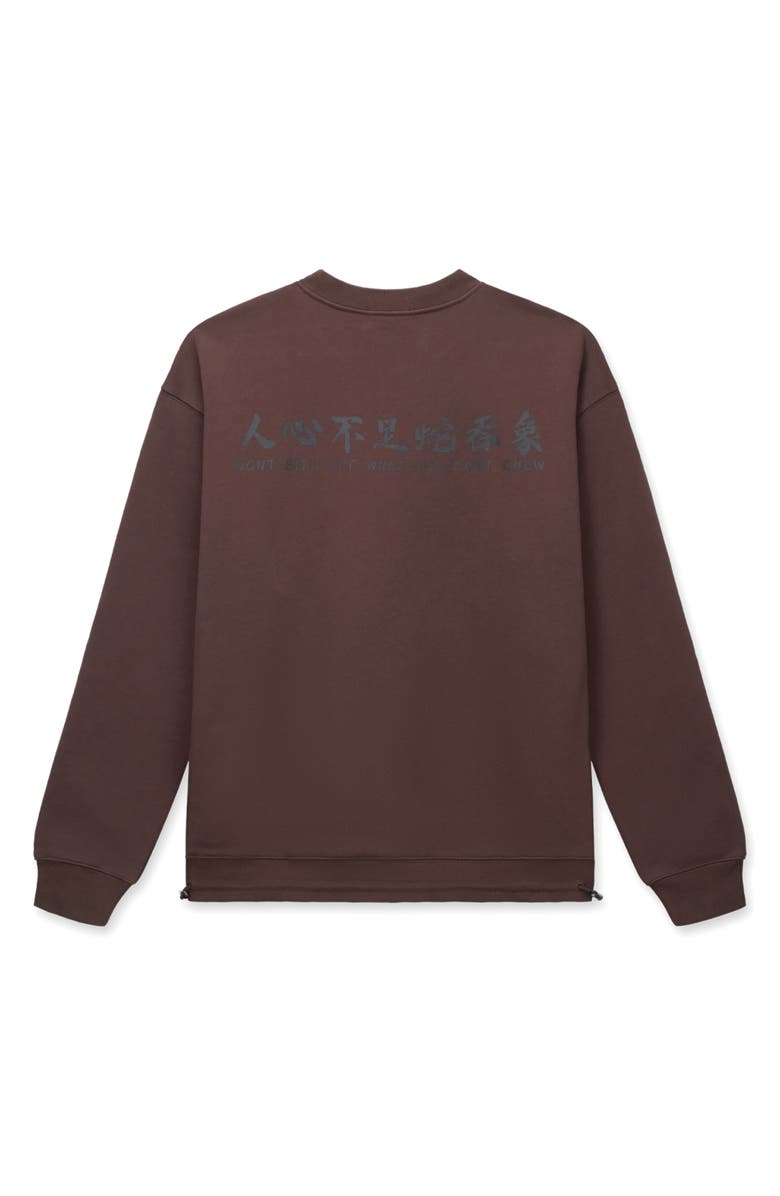 RtA Jaylen Cotton Graphic Sweatshirt, Alternate, color, Brown Snake Bite