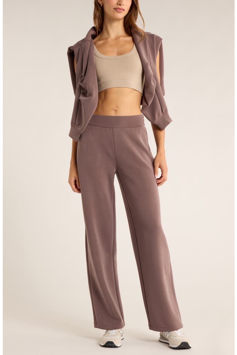 Cozy Luxe High Waist Straight Leg Pants, Alternate, color, GREY PLUM