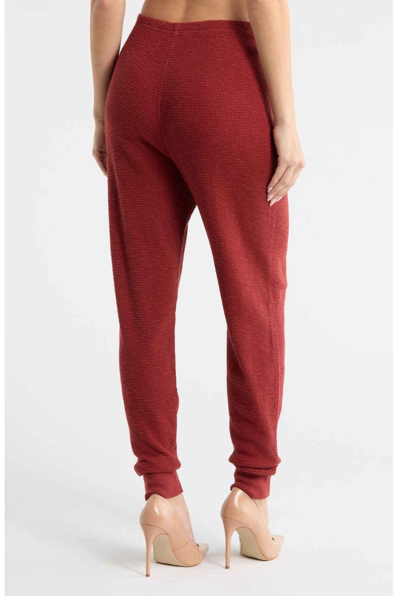 Cotton Thermal Joggers, Alternate, color, BRICK
