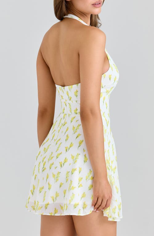 House Of Cb Iris Floral Halter Minidress In White