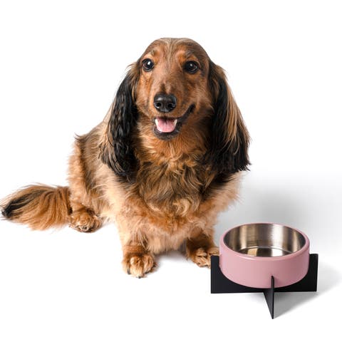 Intersecta Small/Medium Concrete and Stainless Steel Bowl 16oz (2 Cups) with Metal Stand Pet Feeder