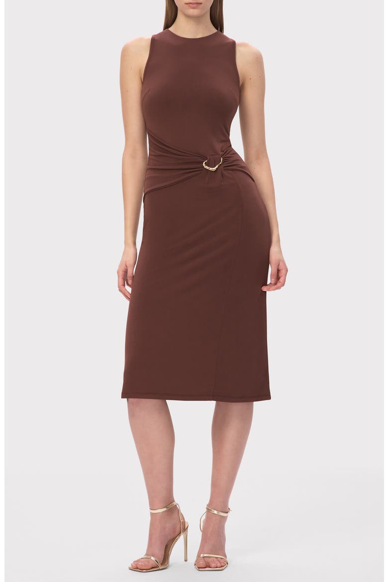 The Brooke Sleeveless Shift Dress, Main, color, COFFEE