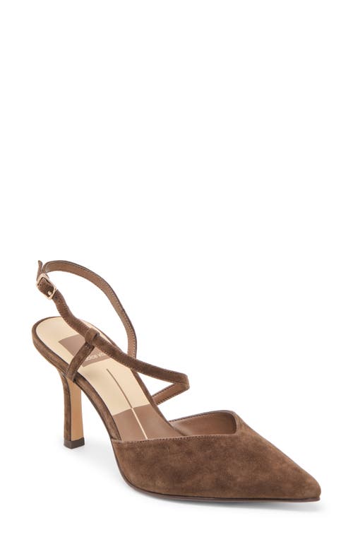 Dolce Vita Kamra Pointy Toe Slingback Pump In Brown
