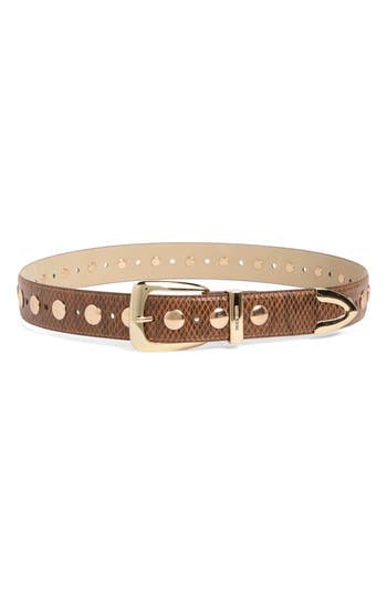 Steve Madden Snakeskin Textured Belt In Brown
