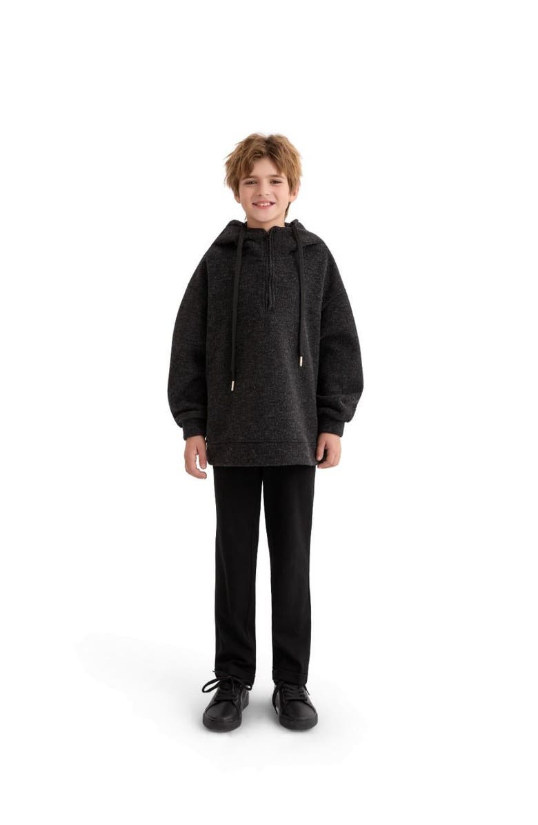 MOUSTACHE Half-Zip Hooded Sweatshirt, Alternate, color, Grey