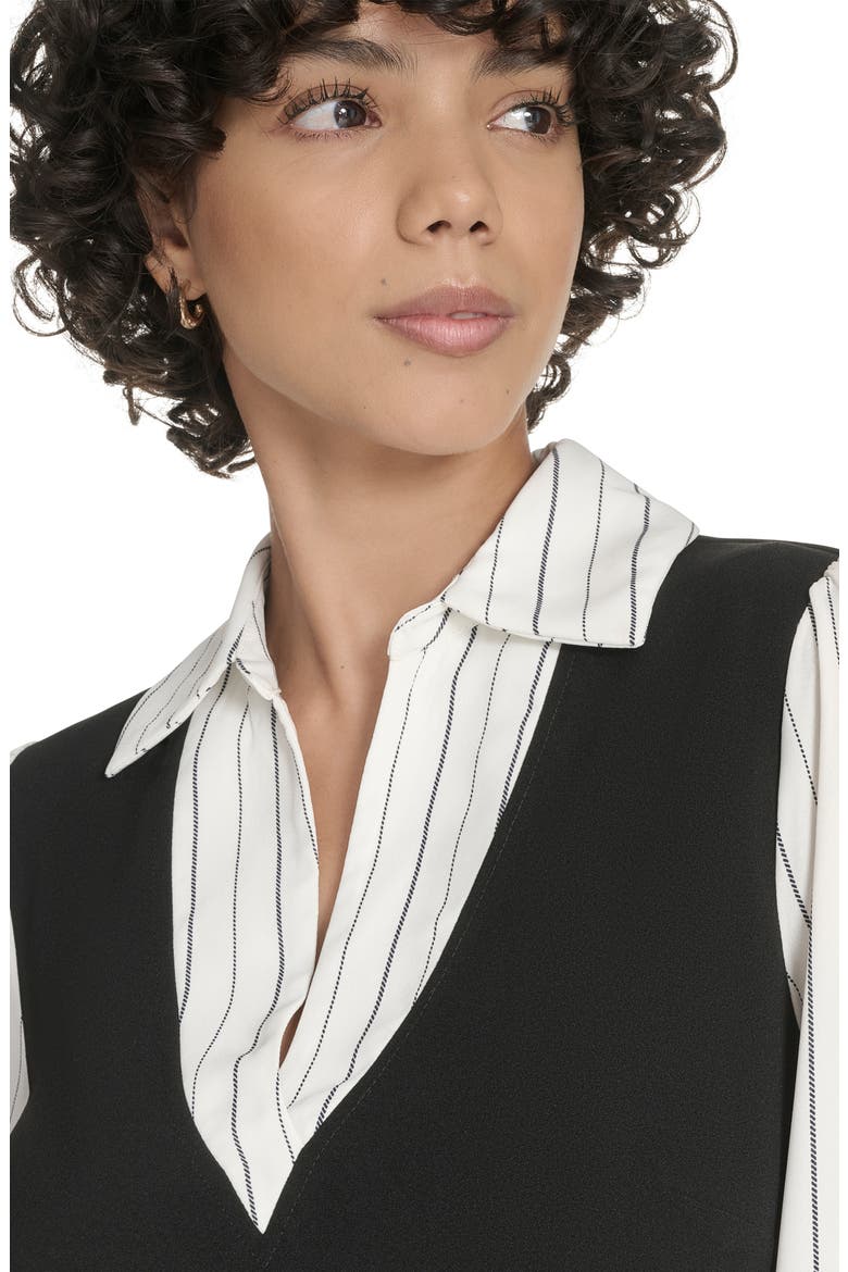 Pinstripe Long Sleeve Twofer Dress, Alternate, color, BLACK IVORY