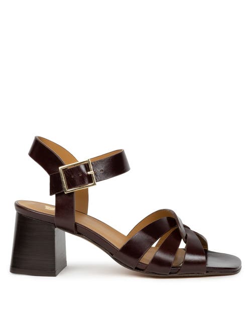 Bobbies Esther Heeled Sandals in Irish Coffee at Nordstrom, Size 7.5