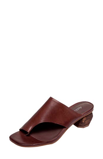 Antelope Afton Toe Loop Leather Dress Sandal In Coffee