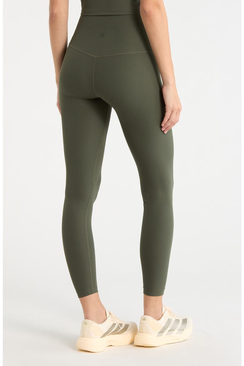 Ribbed Leggings, Alternate, color, KAMBABA