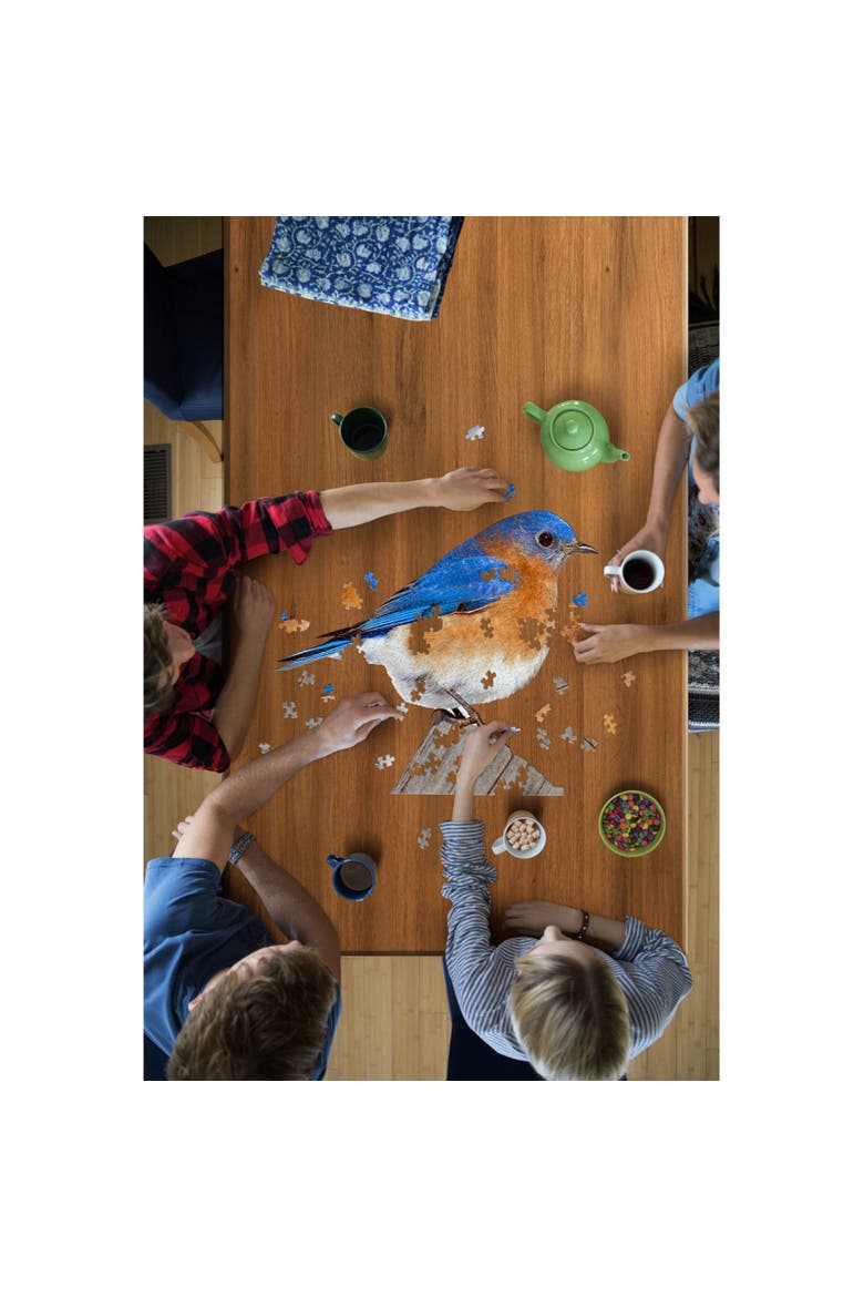 I Am Bluebird 300Piece Birdshaped Jigsaw Puzzle, Alternate, color, Multicolored