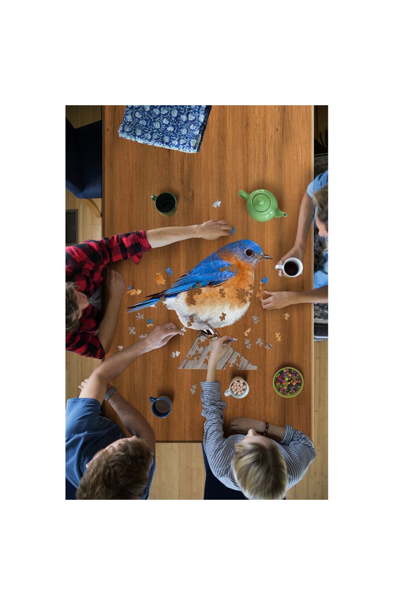 Madd Capp I Am Bluebird 300Piece Birdshaped Jigsaw Puzzle, Alternate, color, Multicolored