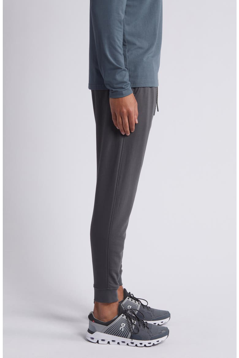 Brushed Fleece Joggers, Alternate, color, BLACK SAND
