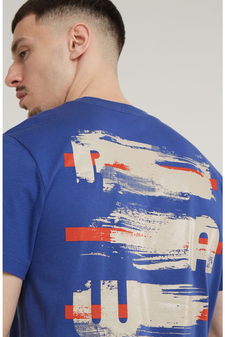 Painted Back Organic Cotton Graphic T-Shirt, Alternate, color, RADAR BLUE