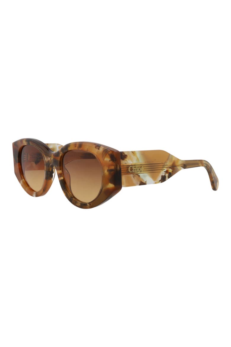51mm Oval Sunglasses, Alternate, color, HAVANA HAVANA BROWN