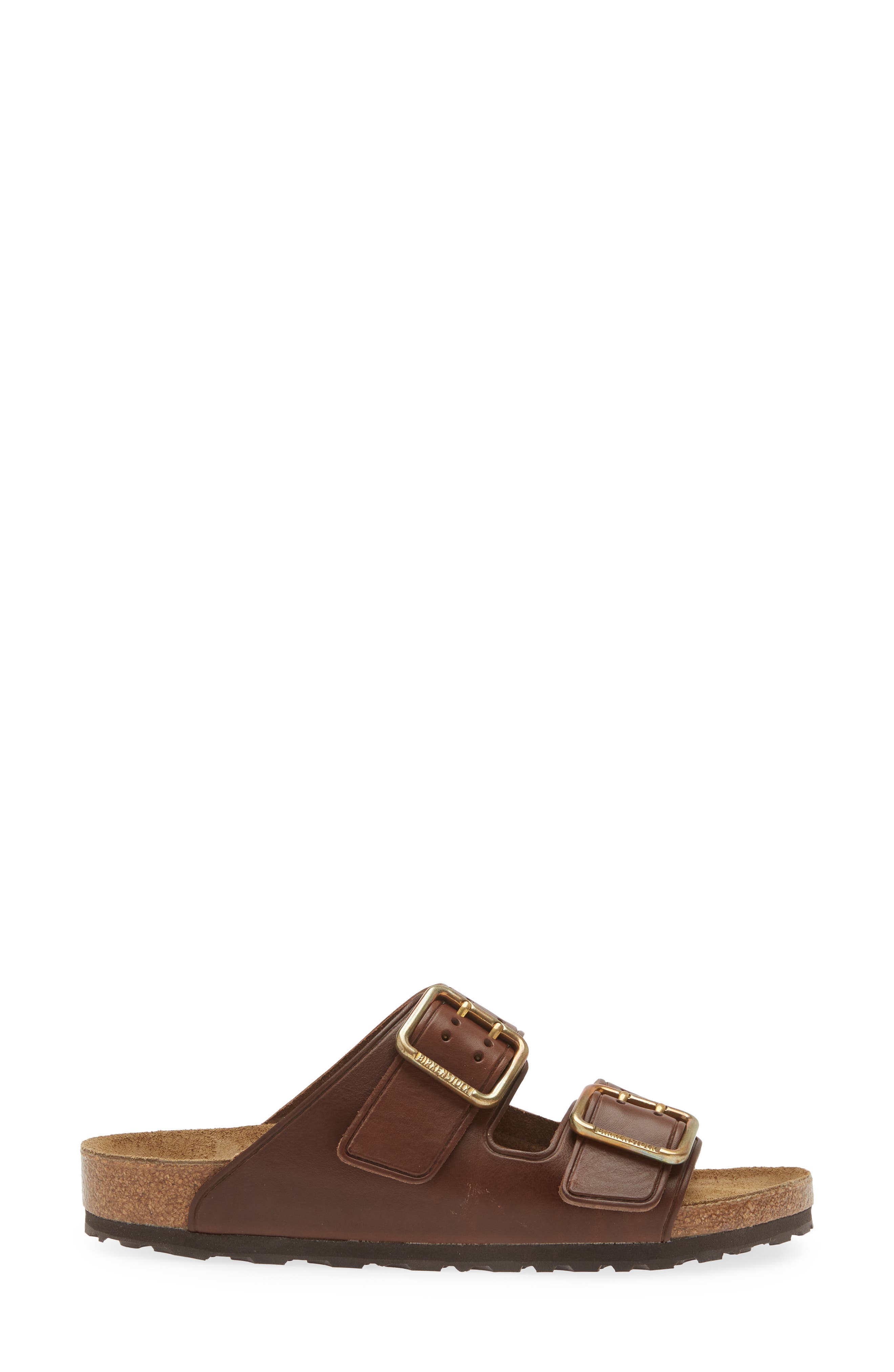 Arizona Bold Slide Sandal, Alternate, color, ROAST