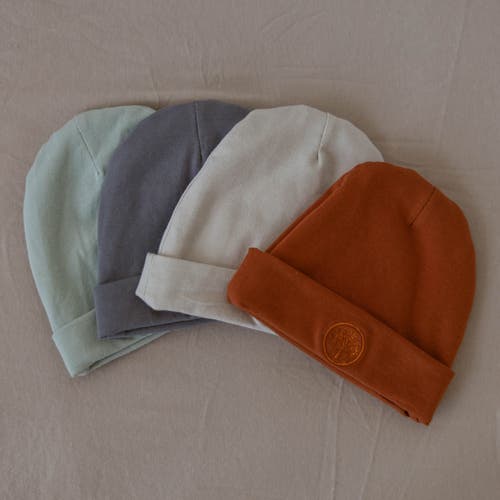 Parker Baby Co. Baby Beanies In Sage/pewter