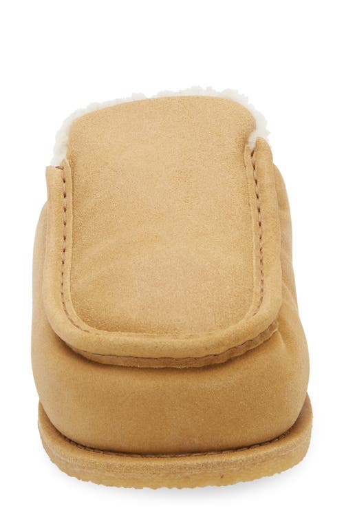 Jw Anderson Genuine Shearling Mule In Calf Mustaza Beige
