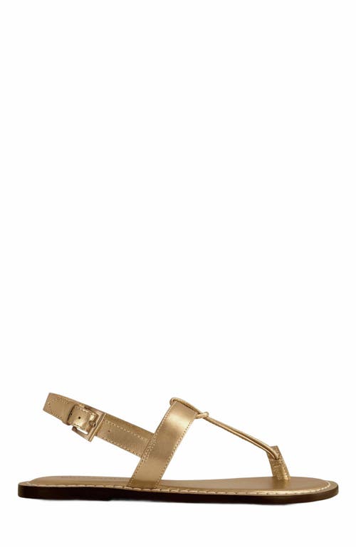 Shop Bernardo Footwear Maverick 2 Toe Ring Sandal In Gold