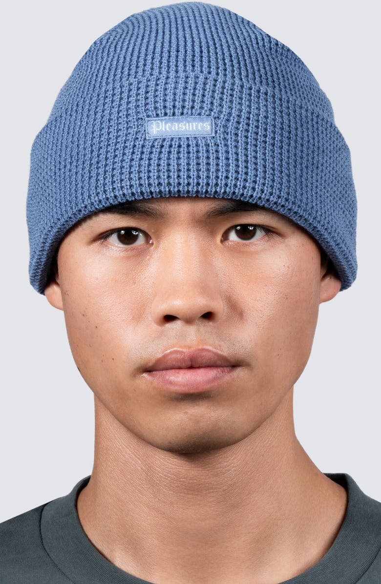 PLEASURES Old E Waffle Beanie, Alternate, color, Dusk