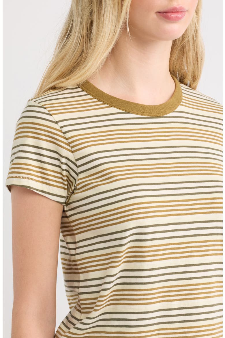 The Slub Stripe Cotton T-Shirt, Alternate, color, GREEN MULTI