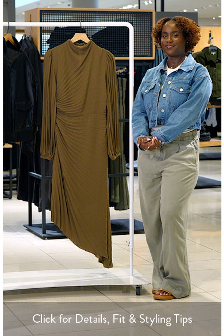 Milena Pleated Long Sleeve Asymmetric Dress video