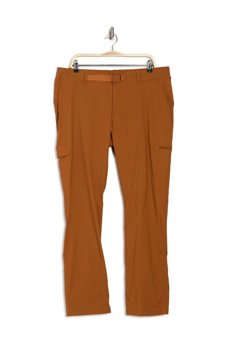 The North Face Paramount Hiking Pants, Main, color,