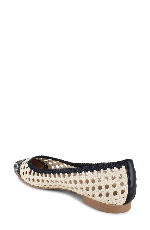 Splendid Nelly Pointed Toe Flat In Black/oat