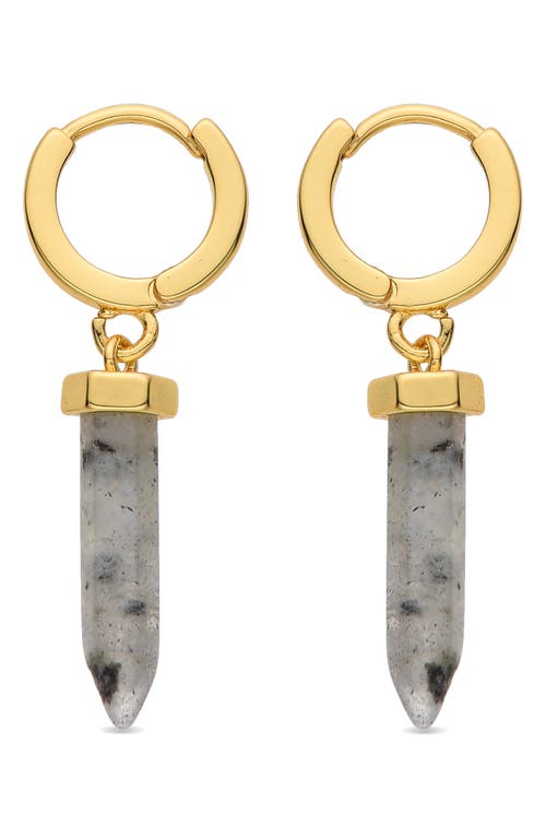 Eye Candy Los Angeles Labradorite Dangle Hoop Earrings