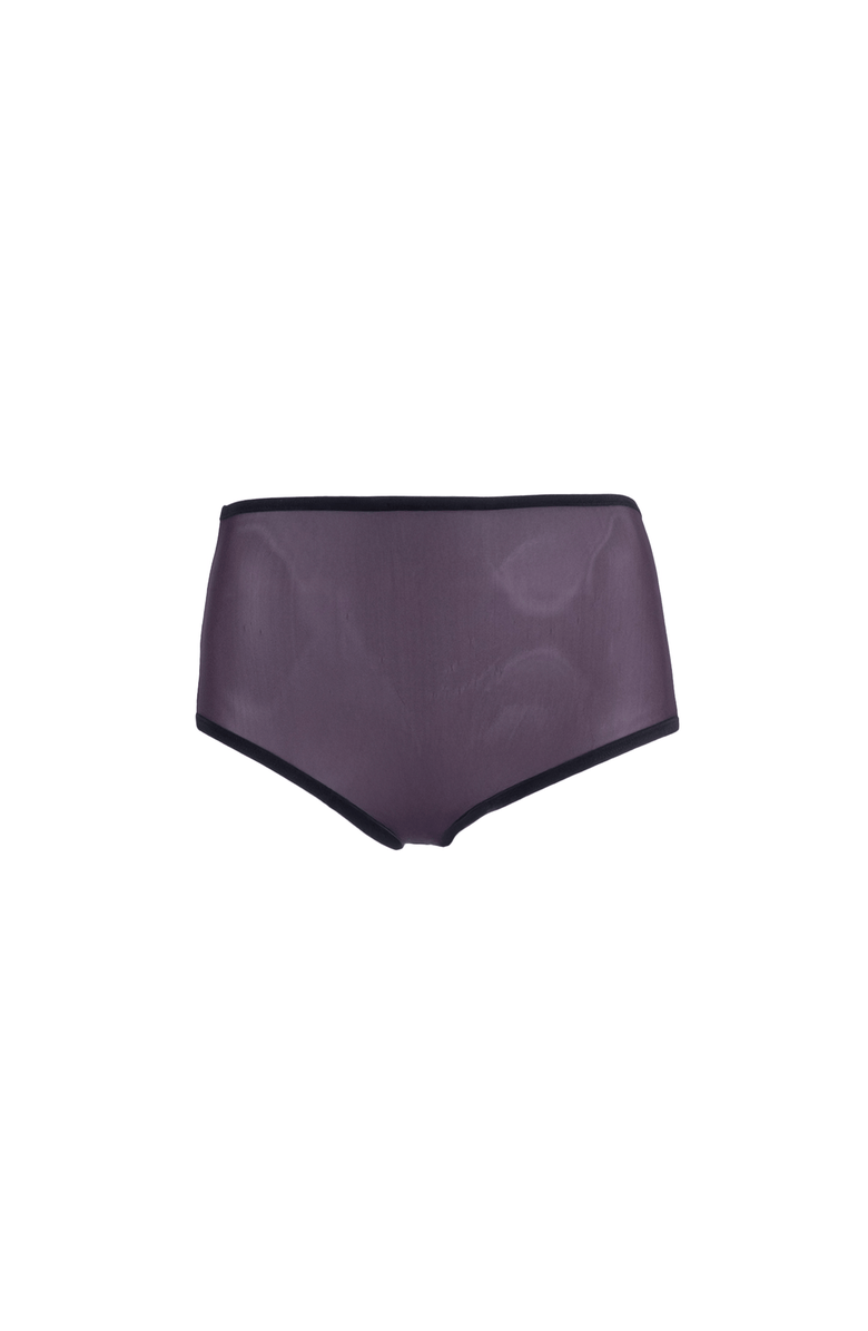 LECHERY<sup>®</sup> Lustrous Sheer High-waisted Brief, Alternate, color, Black