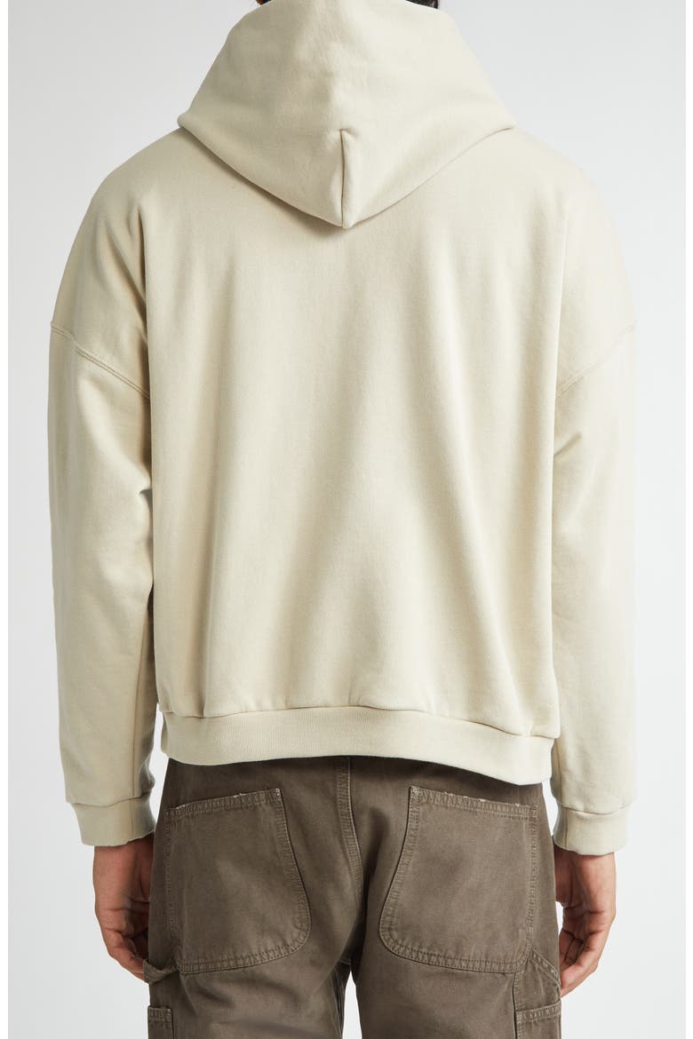 Frances Full Zip Hoodie, Alternate, color, DUNE