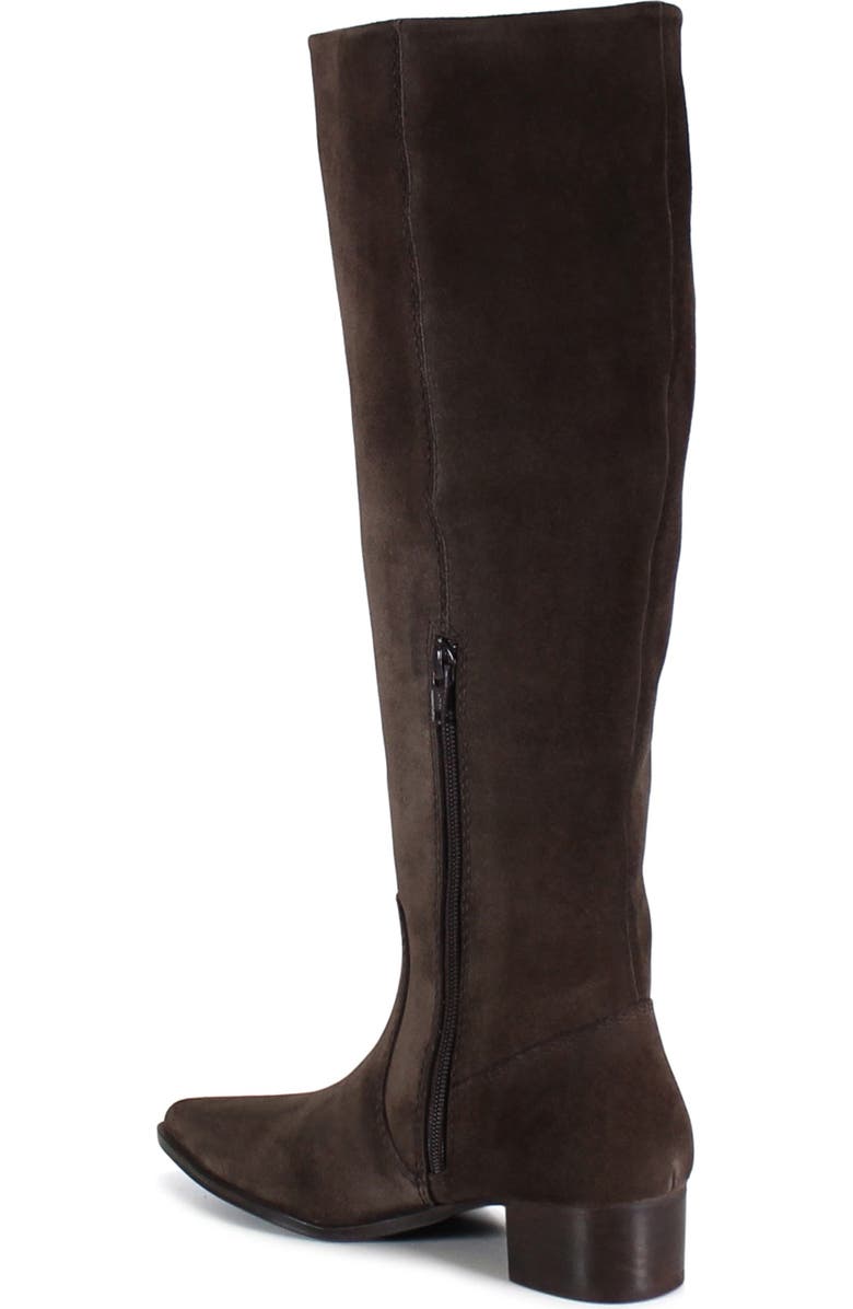 Diba True DIG ITAL Leather Sleek Tall Boot, Alternate, color, Dark Brown