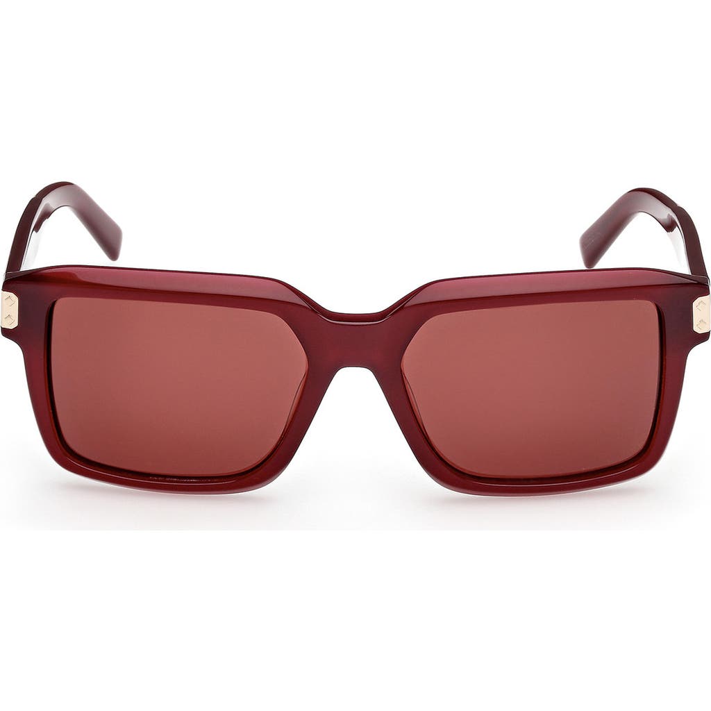 MCM 54mm Polarized Square Sunglasses in Shiny Bordeaux /Bordeaux  product