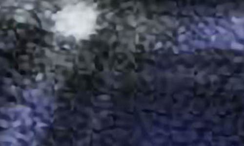 Gramicci Shadow Plaid Faux Shearling Jacket In Blue