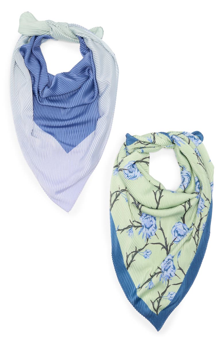 Steve Madden Vines & Roses 2-Pack Satin Scarves, Main, color,