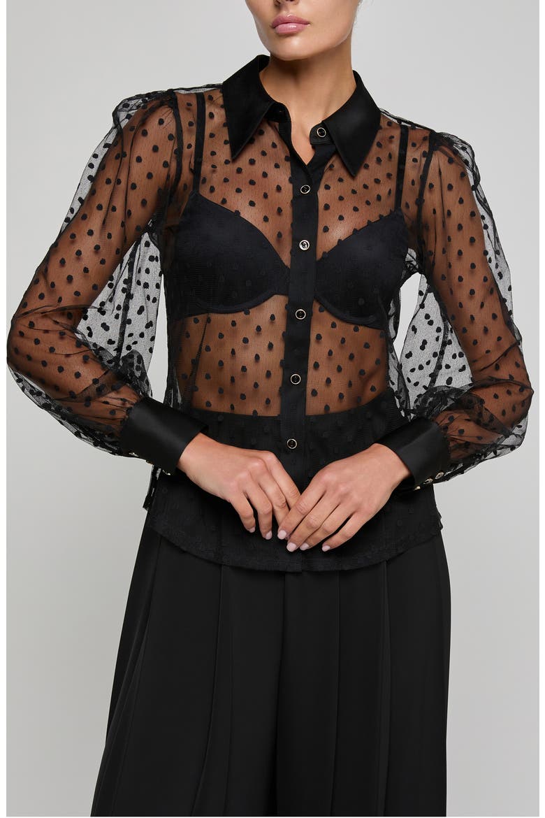 Sophie Swiss Dot Sheer Mesh Button-Up Shirt, Main, color, BLACK