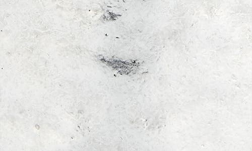 Karine Sultan Statement Circle Bracelet In Silver