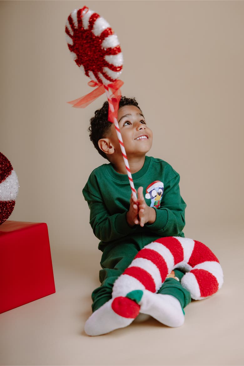 2-Piece Fleece Sweatshirt and Pants Set, Alternate, color, Dark Green Bluey