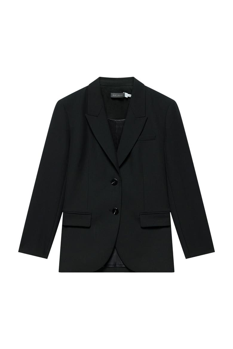 Single Breasted Long Sleeve Blazer, Alternate, color, Black