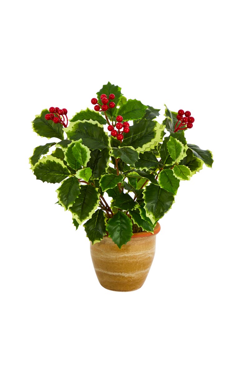 NEARLY NATURAL 14-in Variegated Holly Leaf Artificial Plant in Ceramic Planter, Main, color, Green