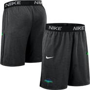 Nike Men's Nike  Black Tampa Bay Rays Authentic Collection City Connect Performance Knit Shorts