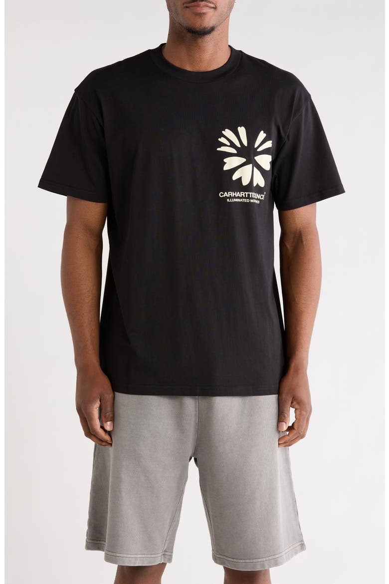 Compy Graphic Organic Cotton Jersey T-Shirt, Main, color, BLACK