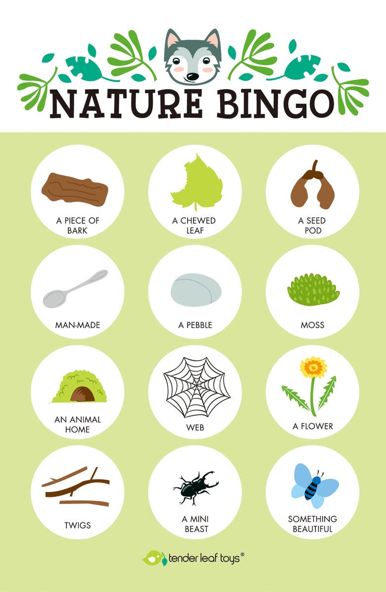 Tender Leaf Toys Forest Trail Kit, Alternate, color, Multi