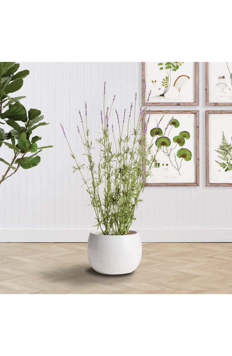 Napa Home & Garden Kayla Pot, Alternate, color, White