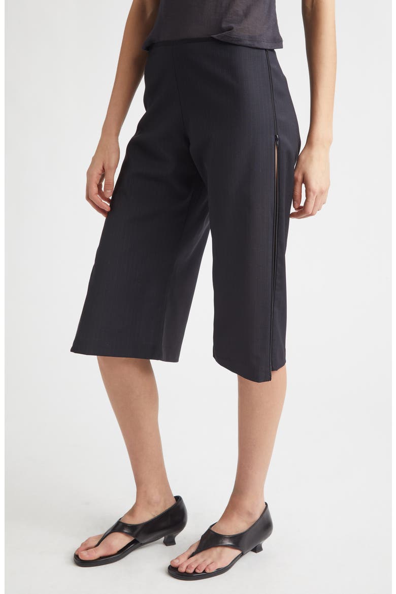 Lumieti Pinstripe Side Zip Capri Pants, Alternate, color, DARK GREY