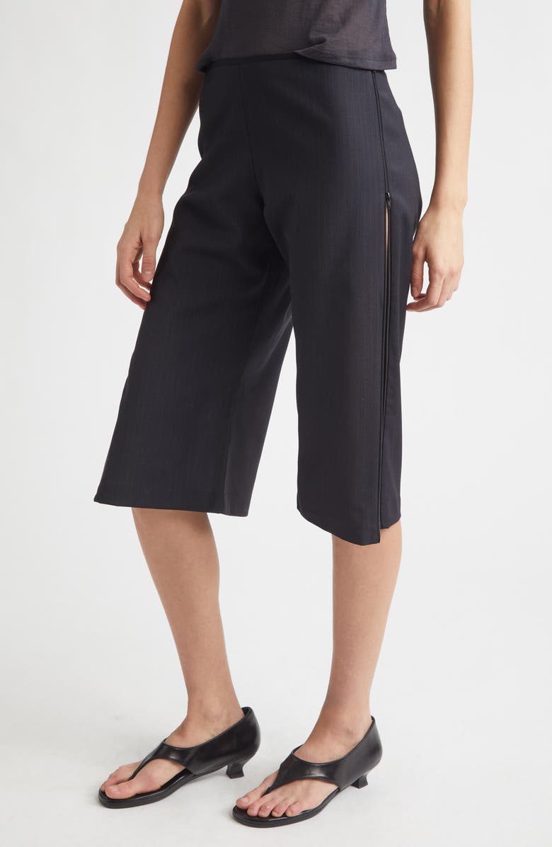 Paloma Wool Lumieti Pinstripe Side Zip Capri Pants, Alternate, color, Dark Grey