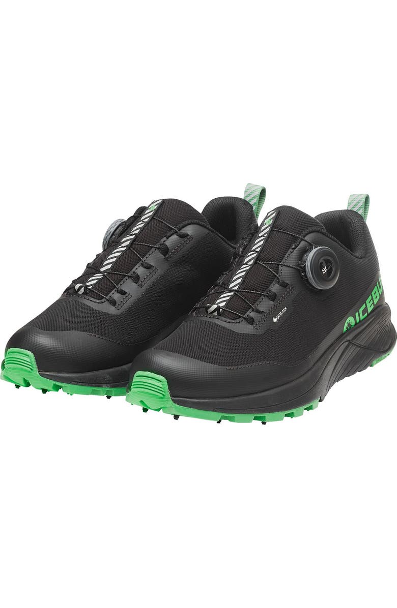 Icebug NewRun BUGrip GTX Running Shoe - Men's, Alternate, color,
