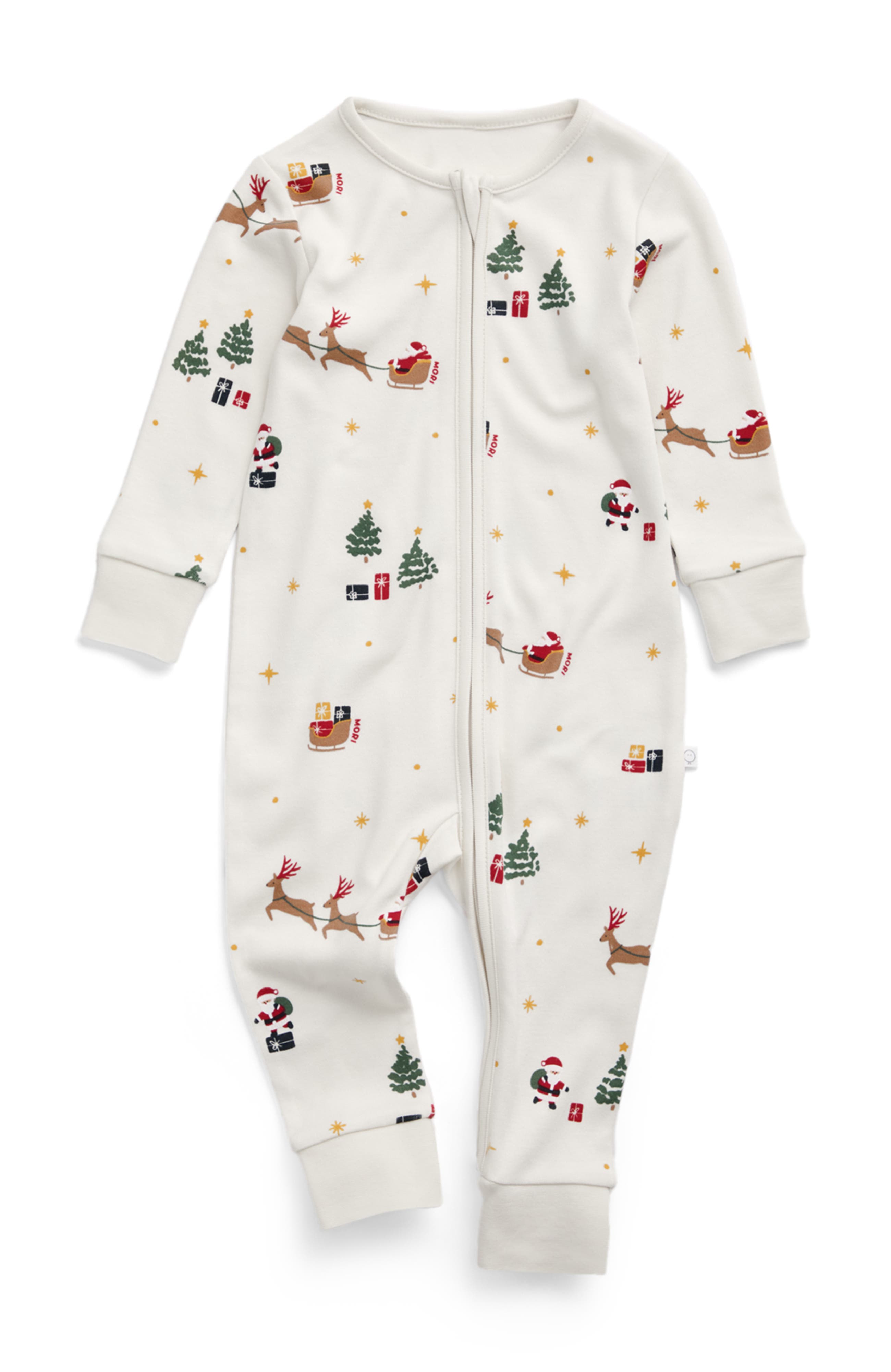Christmas Sleigh Print